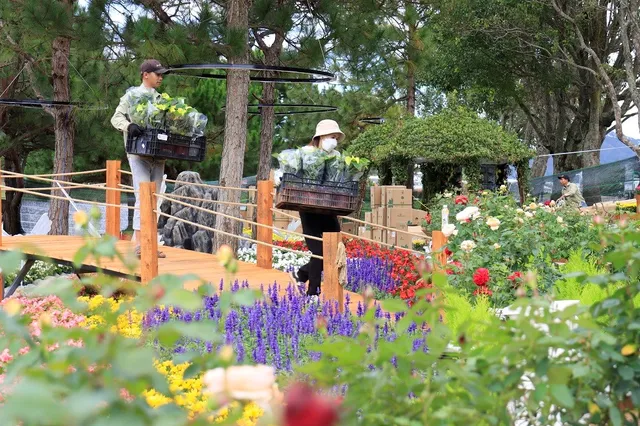 Điểm Nhấn Của Festival Hoa Đà Lạt 2024