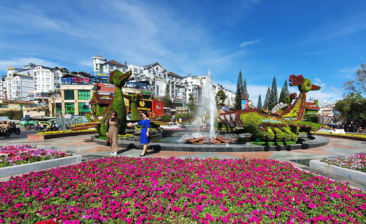 Du Khách Bắt Đầu Check-in