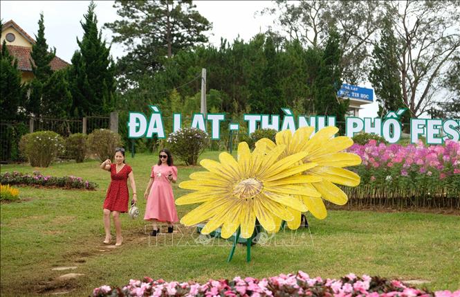 Thời Gian và Hoạt Động Chính